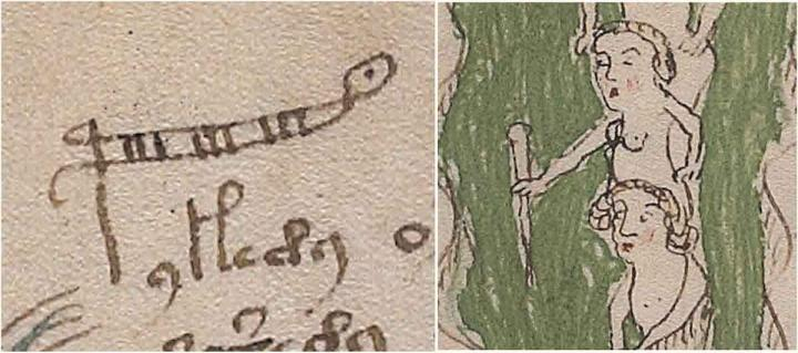 This shows the word 'palina' which is a rod for measuring the depth of water, sometimes called a stadia rod or ruler. The letter 'p' has been extended.