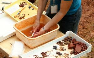 Archaeology Archaeology