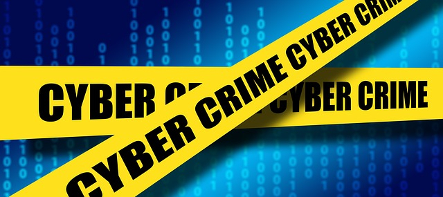 Cyber crime 