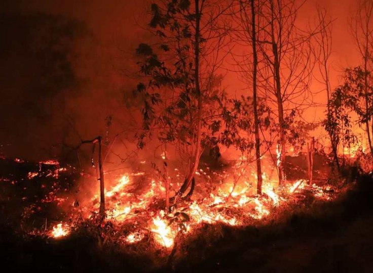 Sumatra forest fire 