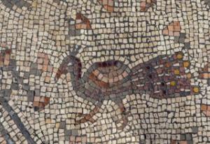 Archaeology Archaeology