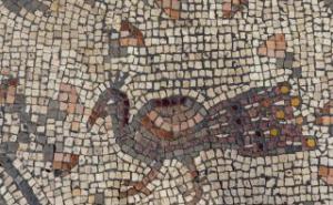 Archaeology Archaeology