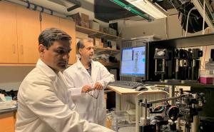 Dr. Vijay Raj Singh, SMART Research Scientist and Dr. Zahid Yaqoob, MIT LBRC Principal Investigator Dr. Vijay Raj Singh, SMART Research Scientist and Dr. Zahid Yaqoob, MIT LBRC Principal Investigator