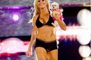 Torrie Wilson Torrie Wilson