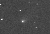Comet C/2019 Q4 as imaged by the Canada-France-Hawaii Telescope on Hawaii's Big Island on Sept. 10, 2019. Credit: Canada-France-Hawaii Telescope Comet C/2019 Q4 as imaged by the Canada-France-Hawaii Telescope on Hawaii's Big Island on Sept. 10, 2019. Credit: Canada-France-Hawaii Telescope