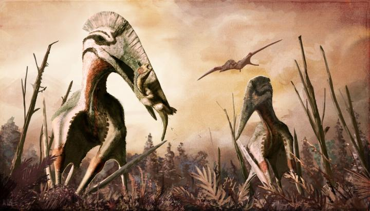 Restoration of the giant azhdarchid pterosaur Hatzegopteryx catching an unsuspecting dinosaur for supper. In addition to carnivory, azhdarchids have been hypothesized to have eaten fish, insects, fruits, hard-shelled organisms or a combination of them all
