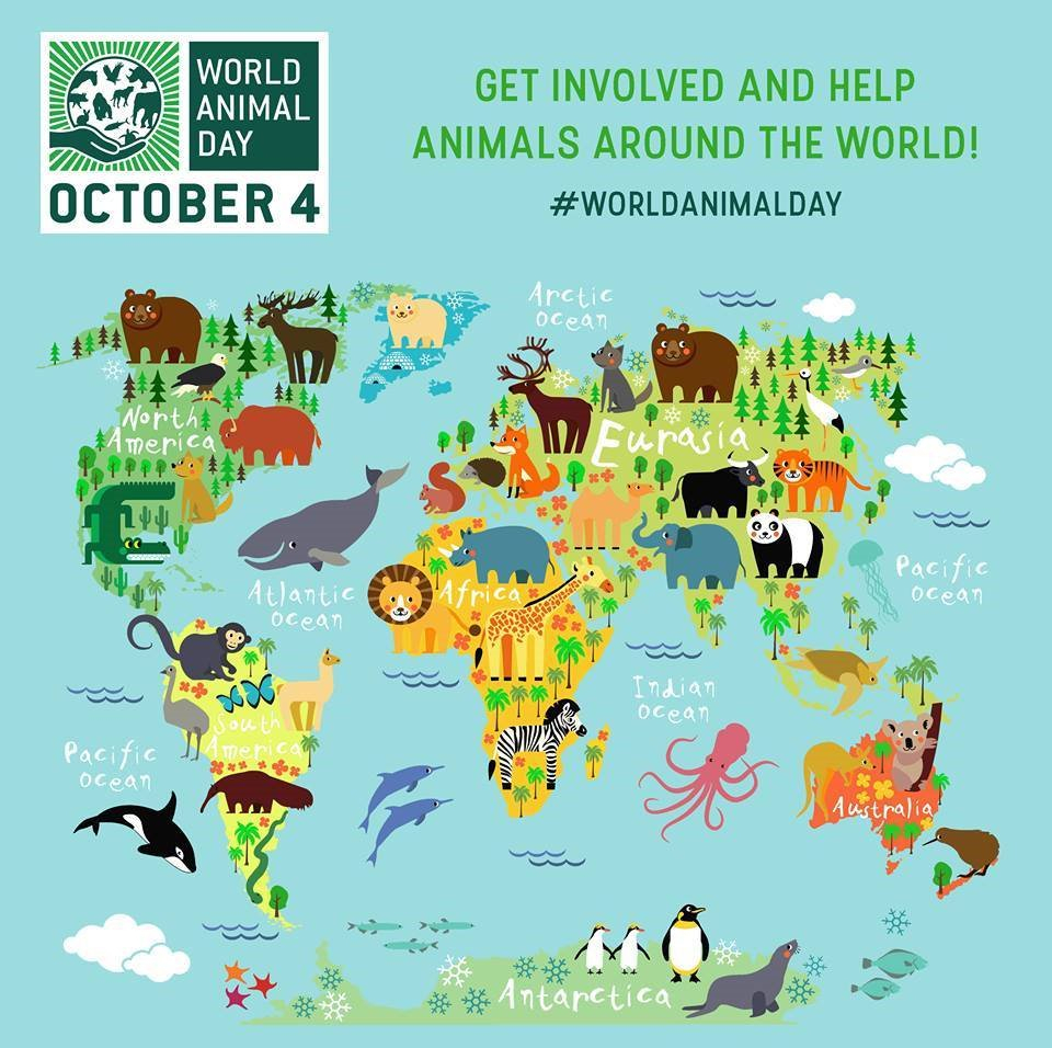 World Animal Day Animal lovers bond with their pets, pledge to protect