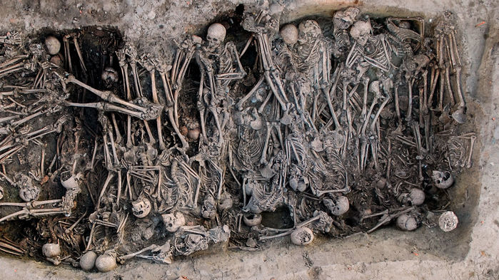 Mass grave of the Black Death period, identified in the “16 rue des Trente Six Ponts” archaeological site in Toulouse, France. Mass grave of the Black Death period, identified in the “16 rue des Trente Six Ponts” archaeological site in Toulouse, France.