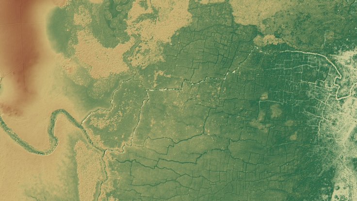 Pictured is the Birds of Paradise (BOP) ancient Maya wetland field system and parts of the nearby Maya sites of Gran Cacao (bottom-left) and Akab Muclil (top-left) in Northwestern Belize. The authors created this image from a lidar-derived digital elevati