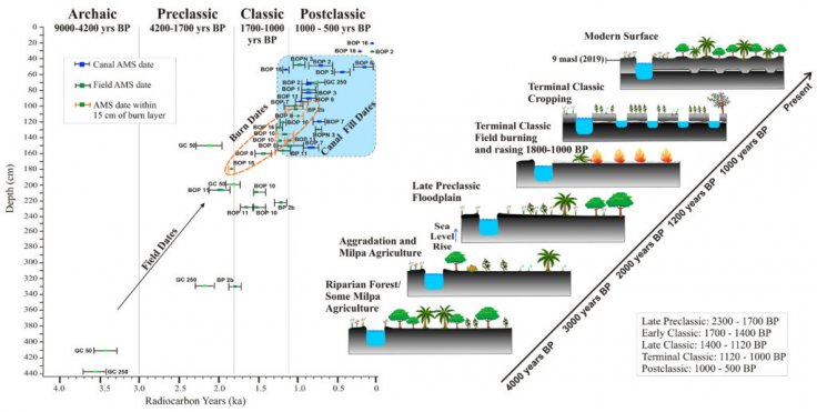 Accelerator mass spectrometry dates chart and conceptual model of wetland formation. Image courtesy of T. Beach et al. (University of Texas at Austin, Austin, Texas)