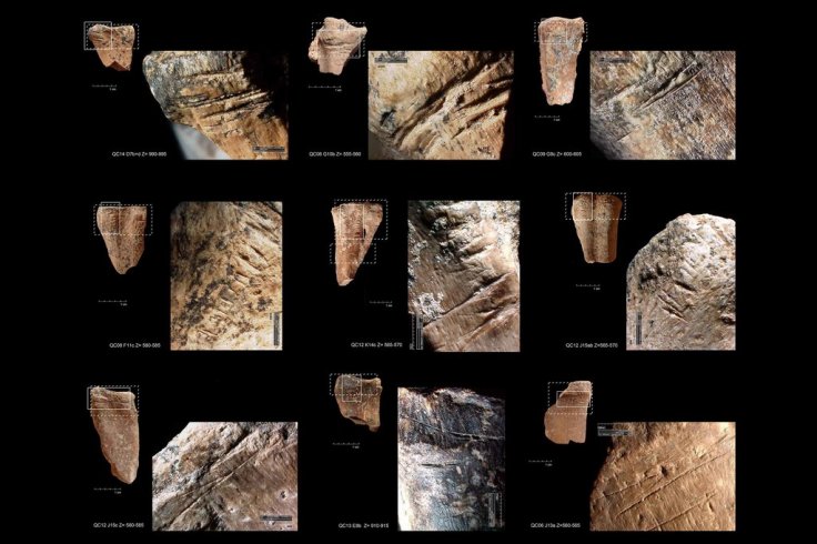 Chop marks, cortical scars and chipped marks on the anterior and posterior surface of metapodial shafts from Qesem Cave Chop marks, cortical scars and chipped marks on the anterior and posterior surface of metapodial shafts from Qesem Cave