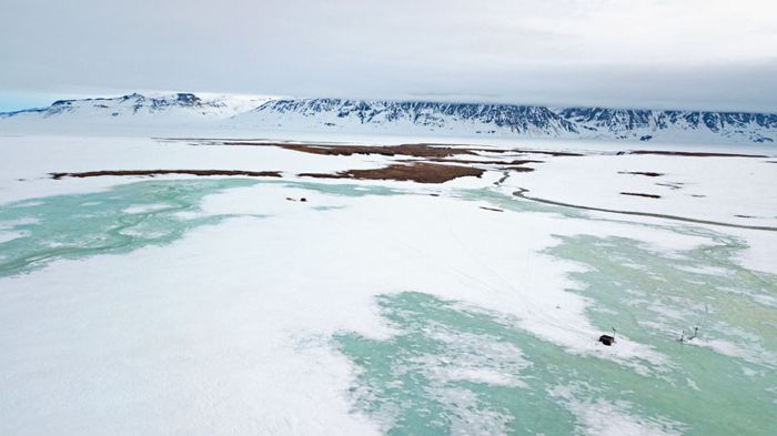 Severe Arctic winter