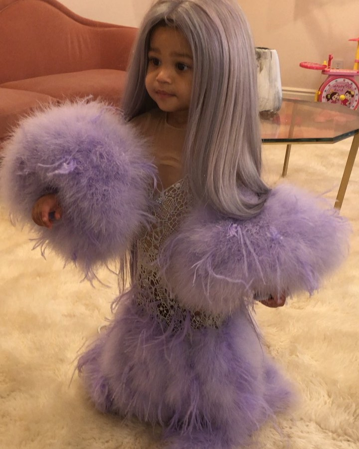stormi webster stormi webster