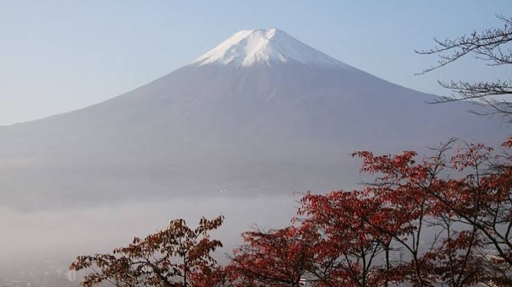 Mt. Fuji