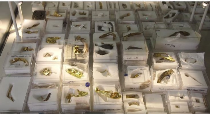 Staffordshire hoard Staffordshire hoard