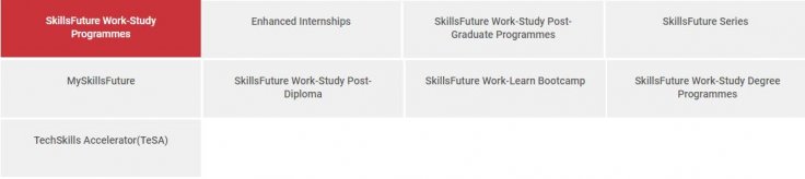 SkillsFuture Programs 