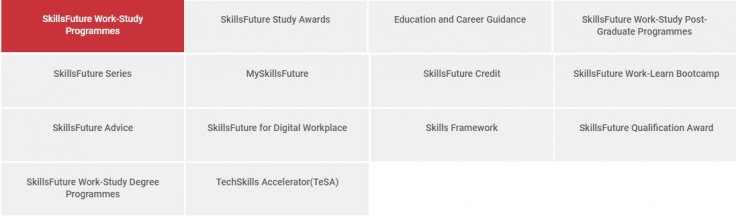 SkillsFuture Programs 