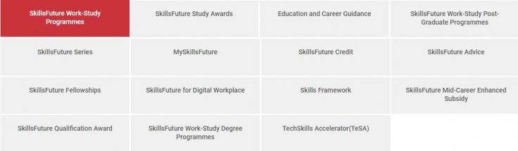 SkillsFuture Programs 