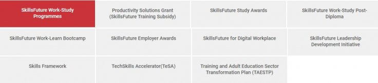 SkillsFuture Programs 