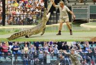 Robert Irwin Robert Irwin