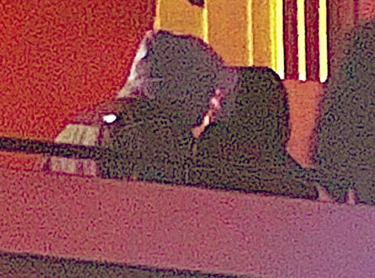 Pete Davidson And Kaia Gerber Pete Davidson And Kaia Gerber