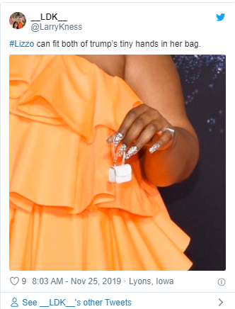 Lizzo Tiny bags memes