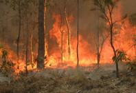 Australian bushfire