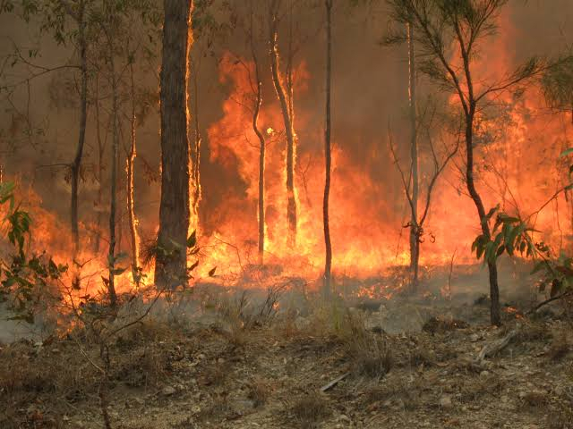 Australian bushfire