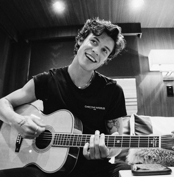 Shawn Mendes calls off Brazil concert due to 'swollen vocal cords'
