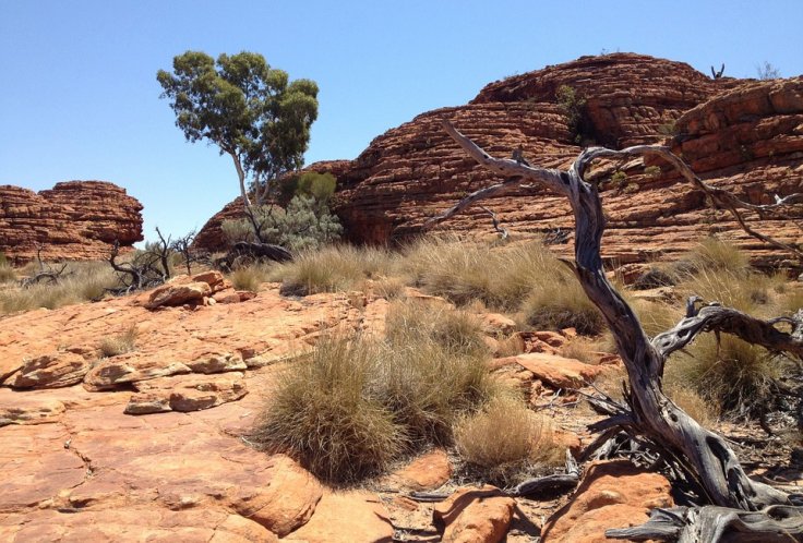 Australian outback