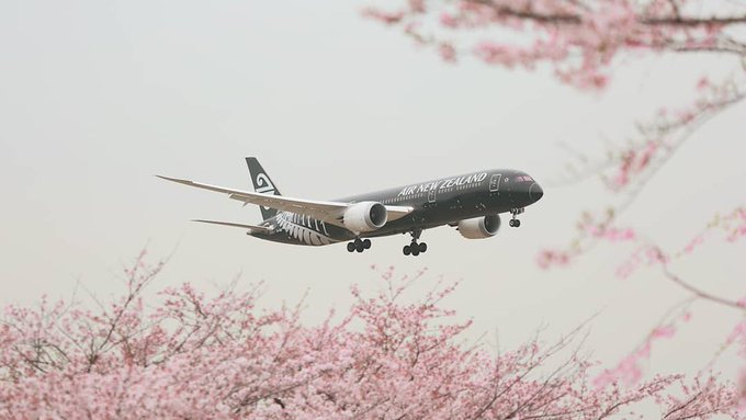 Air New Zealand Air New Zealand