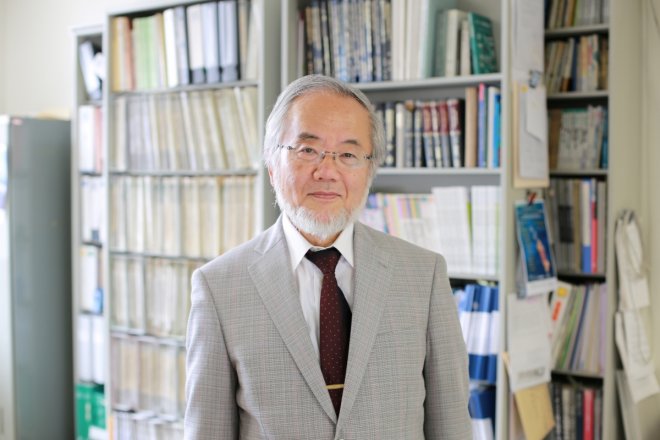 Yoshinori Ohsumi: Japanese scientist wins Nobel Prize in medicine