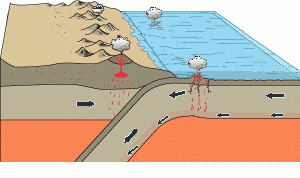 Petit-spot volcano on Japanese Trench 