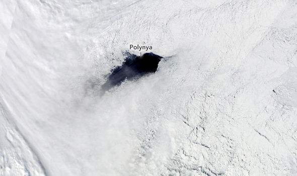 Weddell Polynya