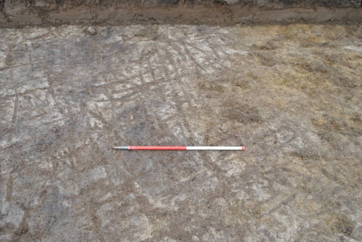 Ard point marks, Finstown, Orkney. Ard point marks, Finstown, Orkney.