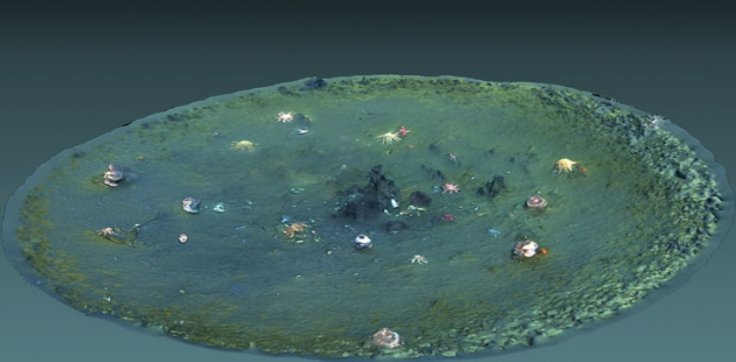 Mystery holes in seafloor