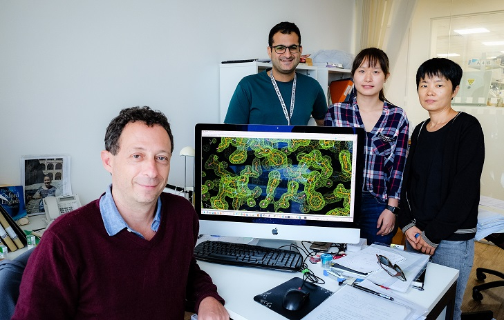Dr Julien Lescar from NTU’s School of Biological Sciences Dr Julien Lescar from NTU’s School of Biological Sciences