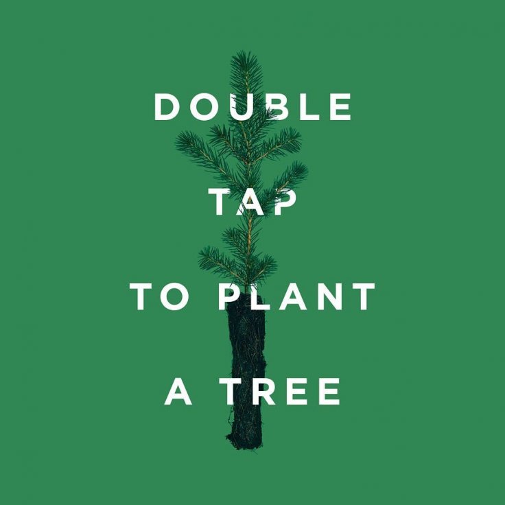 tentree tentree