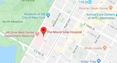 Mount Sinai Hospital, New York 