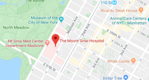 Mount Sinai Hospital, New York Mount Sinai Hospital, New York