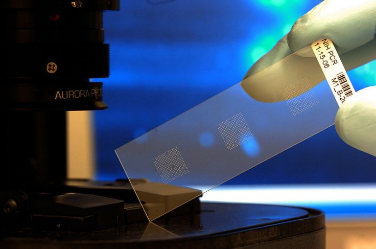 Biochip Biochip