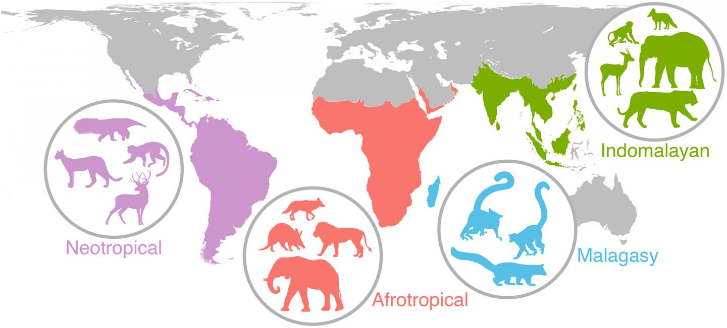 20,000-year-old Ancient Events Still Impacting Mammals' Migration And ...