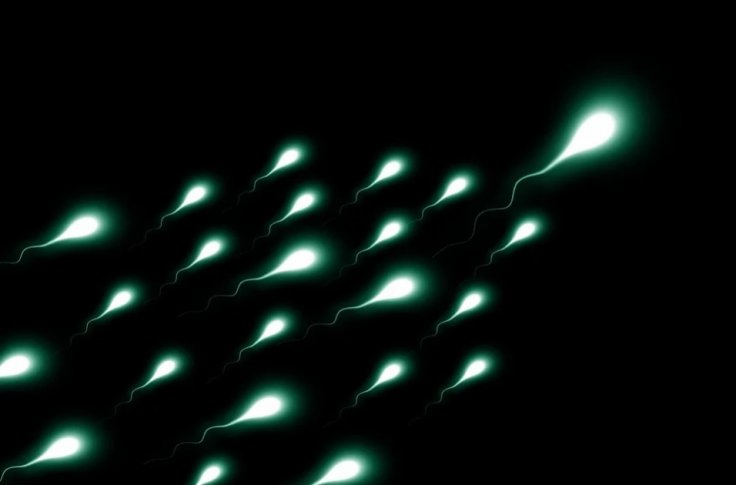 Sperm count