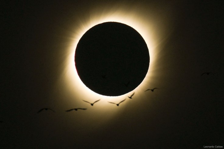 Total Solar Eclipse