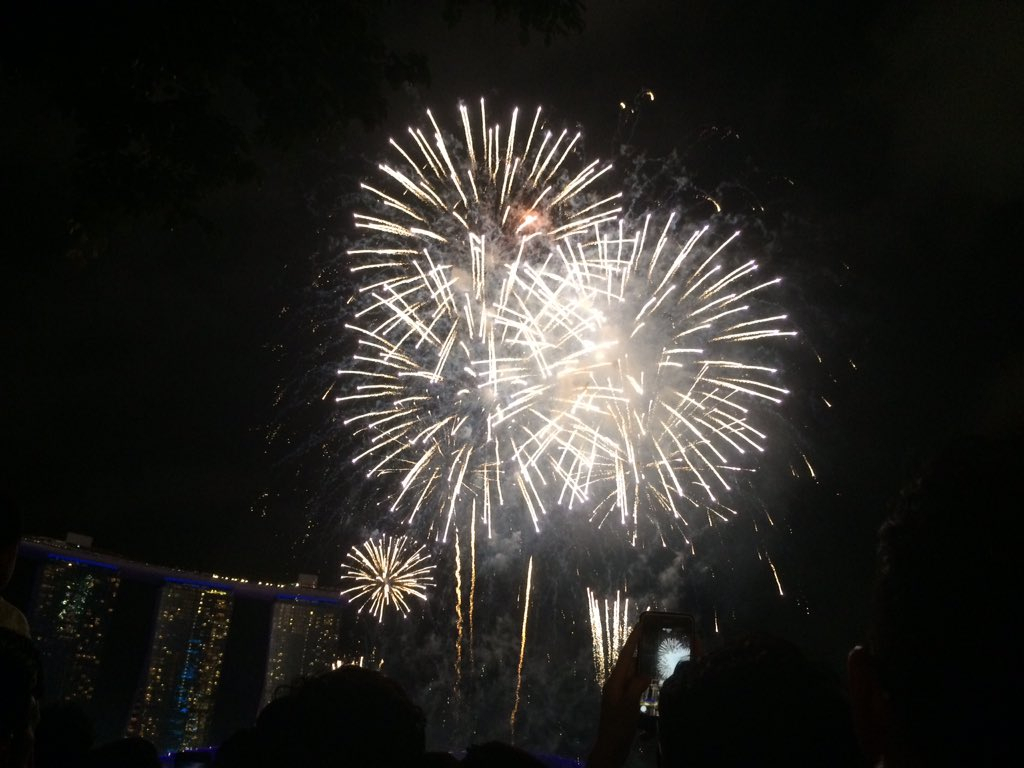 Singapore New Year 2020