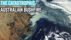 the-catastrophic-australian-bushfire