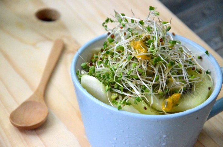 Broccoli Sprouts Broccoli Sprouts