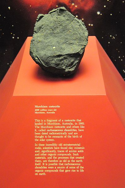 murchison meteorite