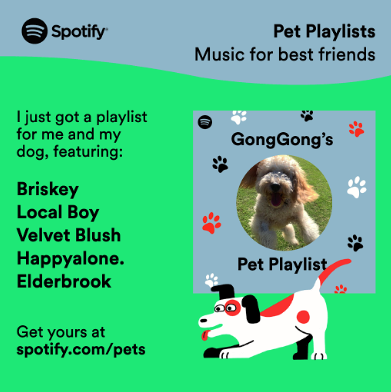 Spotify Pet Playlists