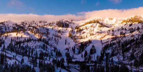 Alpine Meadows Alpine Meadows